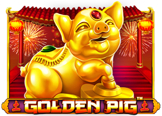 Golden Pig-PR
